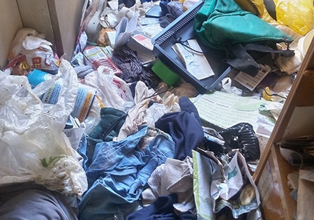 ゴミ屋敷の状況